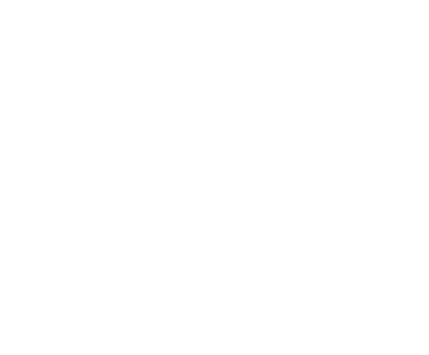 DTS PARTNER